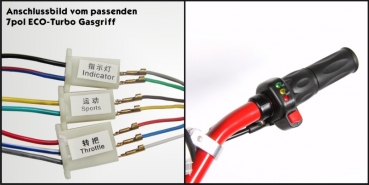 Produktansicht